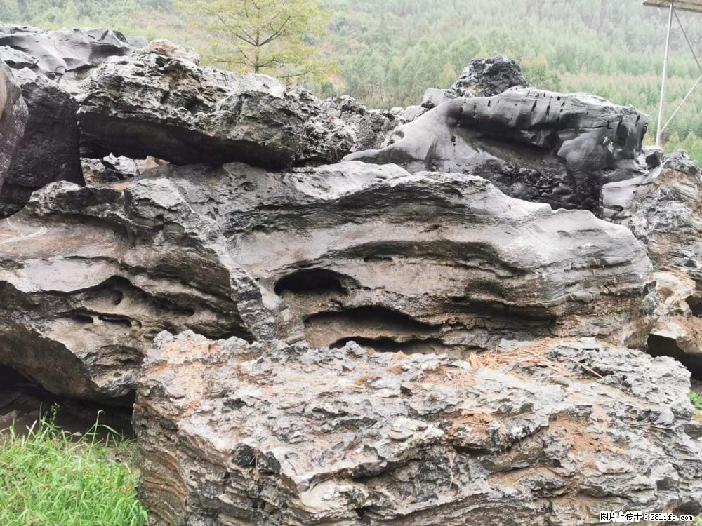 风景石、假山石大量有货，有需要的欢迎联系 - 新手上路 - 眉山生活社区 - 眉山28生活网 ms.28life.net