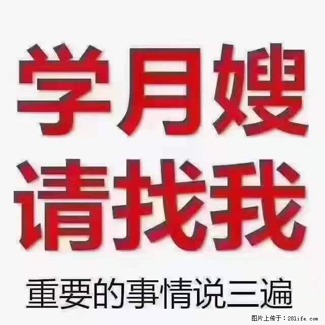 为什么要学习月嫂，育婴师？ - 其他广告 - 广告专区 - 眉山分类信息 - 眉山28生活网 ms.28life.net