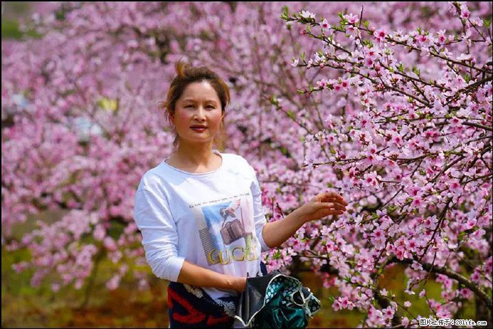 【春天，广西桂林灌阳县向您发出邀请！】官庄村有个醉美的桃花园 - 游山玩水 - 眉山生活社区 - 眉山28生活网 ms.28life.net