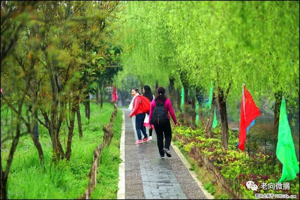 【春天，广西桂林灌阳县向您发出邀请！】江口老街又逢春 - 游山玩水 - 眉山生活社区 - 眉山28生活网 ms.28life.net