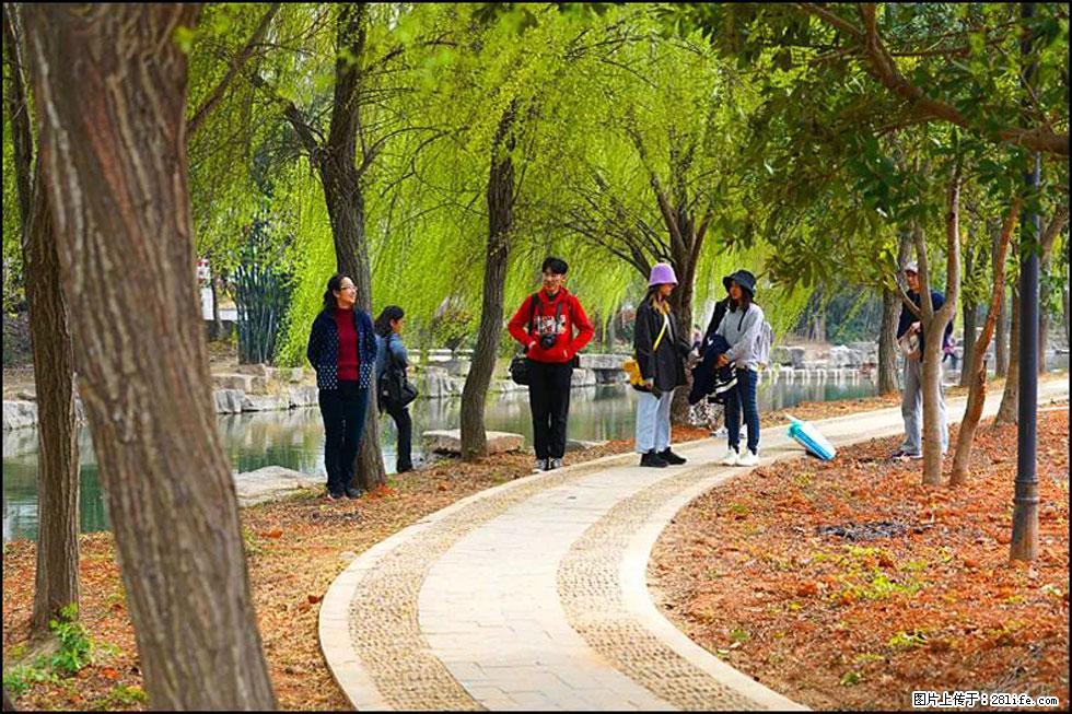 【春天，广西桂林灌阳县向您发出邀请！】江口老街又逢春 - 游山玩水 - 眉山生活社区 - 眉山28生活网 ms.28life.net