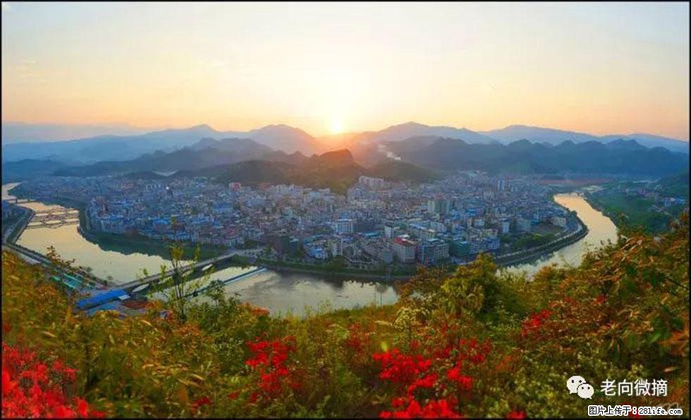 【春天，广西桂林灌阳县向您发出邀请！】登麒麟山，相约映山红 - 游山玩水 - 眉山生活社区 - 眉山28生活网 ms.28life.net