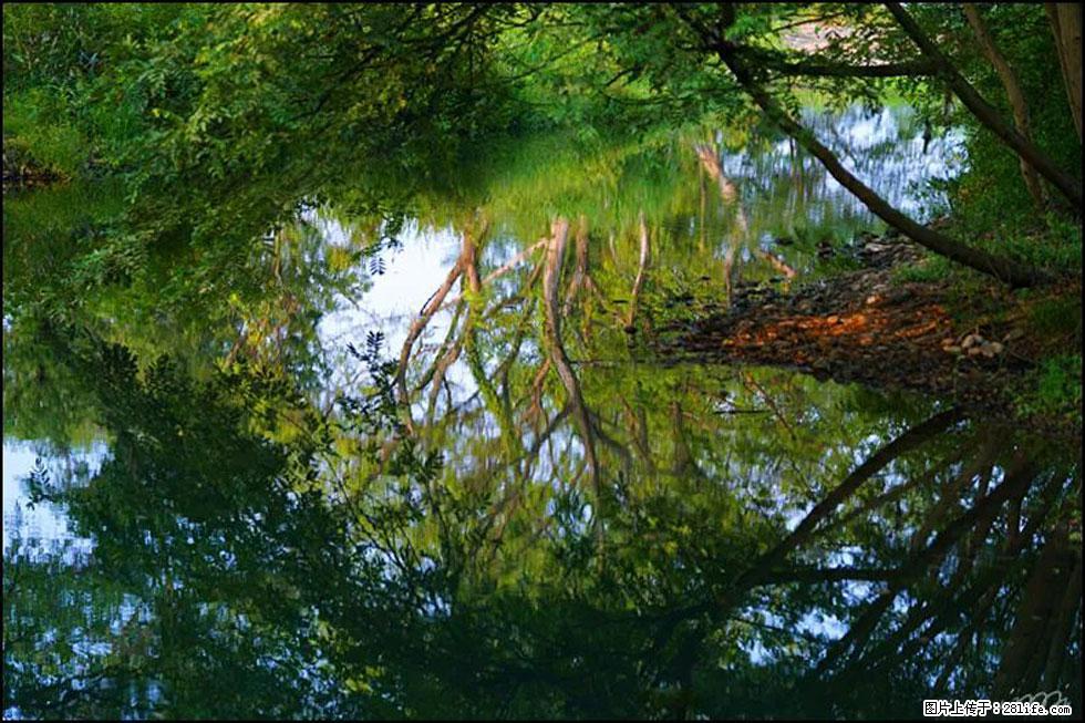 【春天，广西桂林灌阳县向您发出邀请！】熊家寨湿地公园 - 游山玩水 - 眉山生活社区 - 眉山28生活网 ms.28life.net