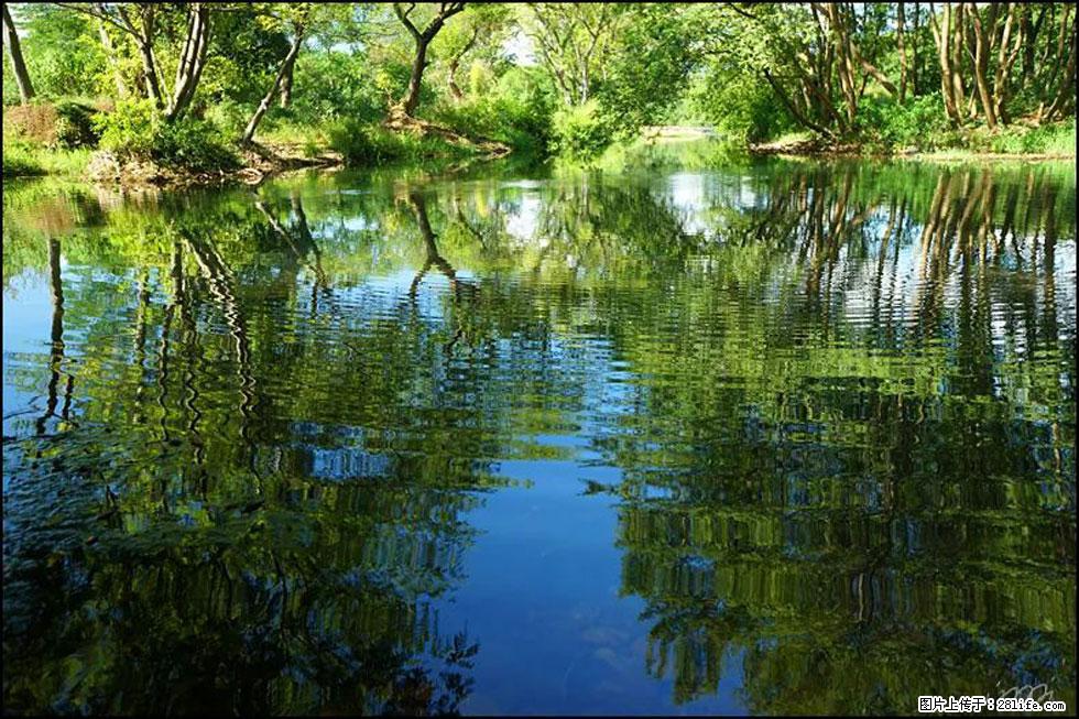【春天，广西桂林灌阳县向您发出邀请！】熊家寨湿地公园 - 游山玩水 - 眉山生活社区 - 眉山28生活网 ms.28life.net