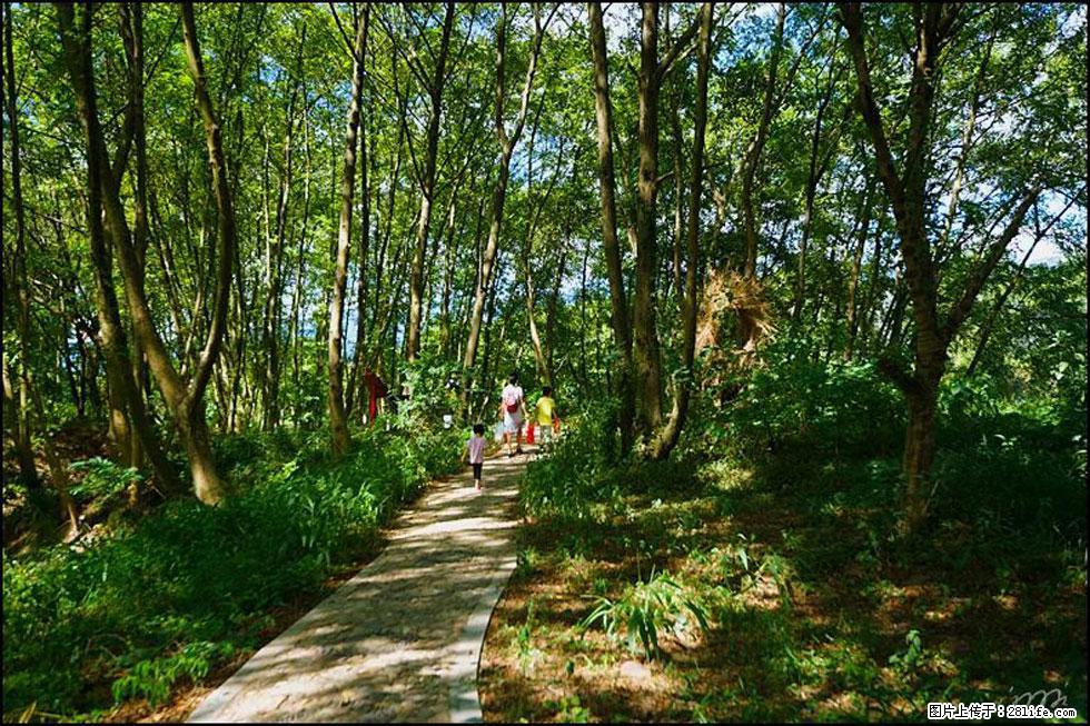 【春天，广西桂林灌阳县向您发出邀请！】熊家寨湿地公园 - 游山玩水 - 眉山生活社区 - 眉山28生活网 ms.28life.net