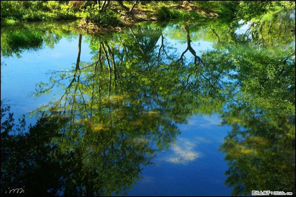 【春天，广西桂林灌阳县向您发出邀请！】熊家寨湿地公园 - 游山玩水 - 眉山生活社区 - 眉山28生活网 ms.28life.net