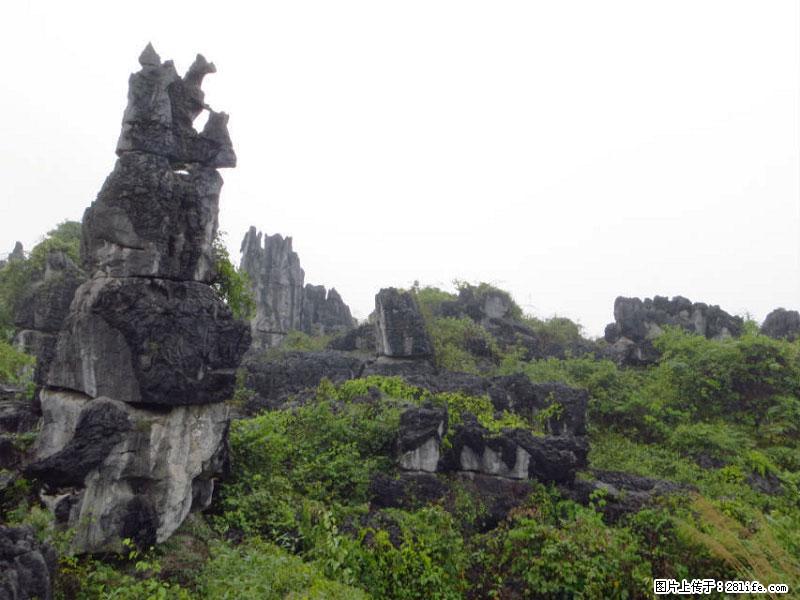 桂林旅游名城景点:灌阳文市石林 - 游山玩水 - 眉山生活社区 - 眉山28生活网 ms.28life.net