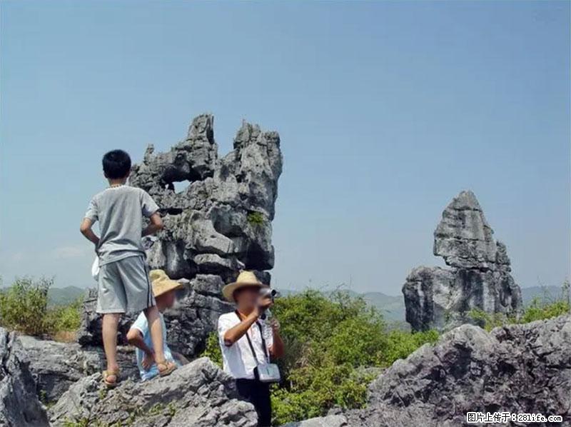 桂林旅游名城景点:灌阳文市石林 - 游山玩水 - 眉山生活社区 - 眉山28生活网 ms.28life.net