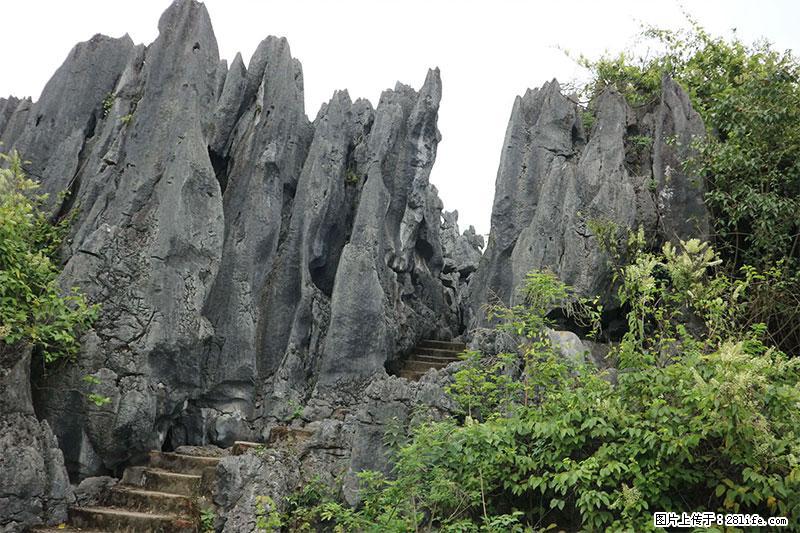 桂林旅游名城景点:灌阳文市石林 - 游山玩水 - 眉山生活社区 - 眉山28生活网 ms.28life.net