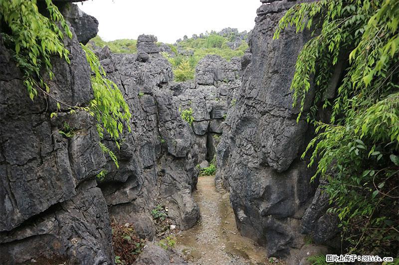 桂林旅游名城景点:灌阳文市石林 - 游山玩水 - 眉山生活社区 - 眉山28生活网 ms.28life.net