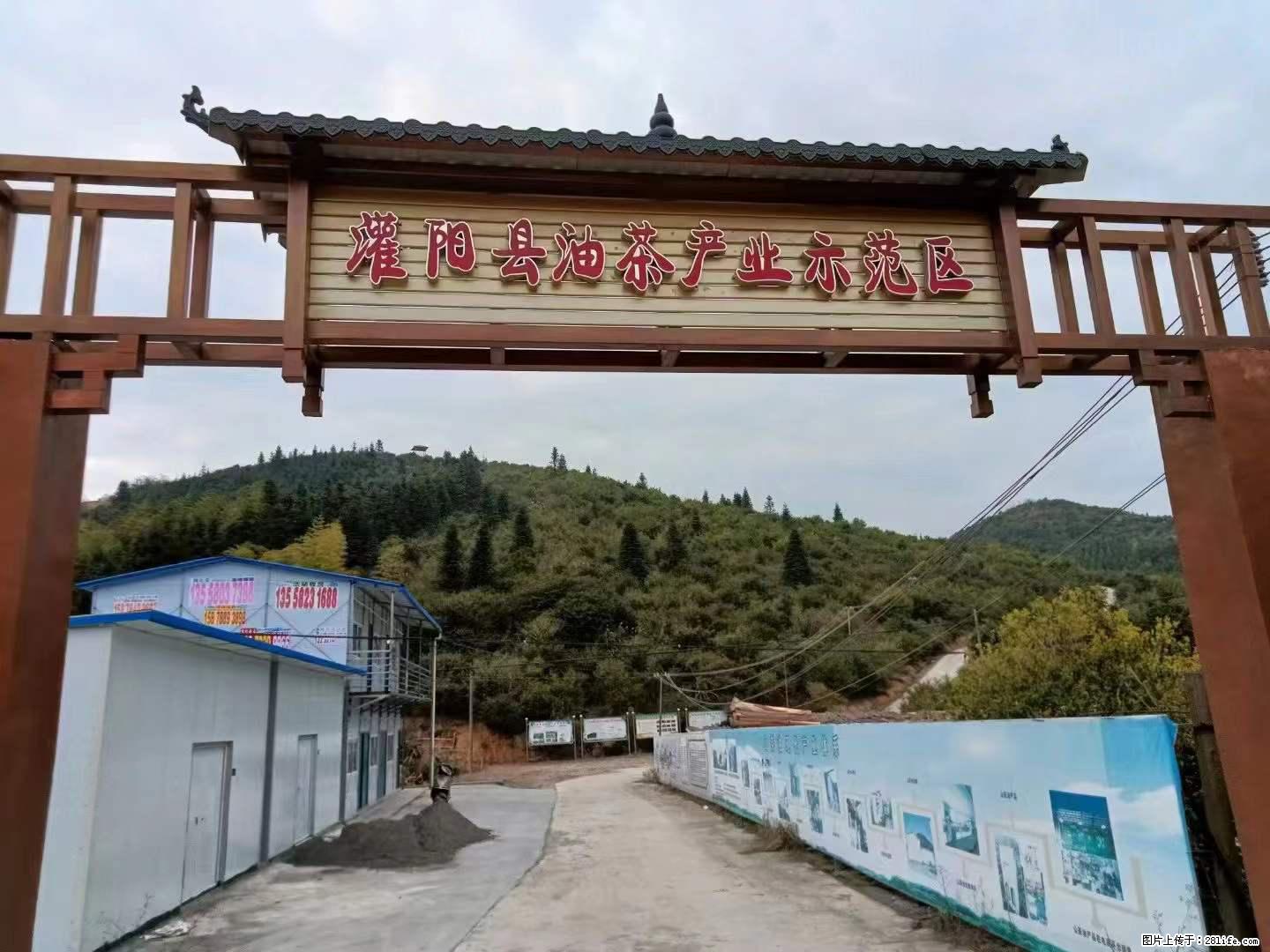 【灌阳县油茶产业示范区】一个有着充实的精神生活的人，对待身外之物自会有一种淡泊的态度 - 土特产 - 饮食特产 - 眉山分类信息 - 眉山28生活网 ms.28life.net