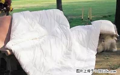 被子有异味？只要这样做，比晒太阳还强100倍！ - 家居生活 - 眉山生活社区 - 眉山28生活网 ms.28life.net