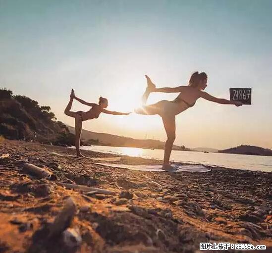辞掉工作周游世界？现在他们在洗厕所…… - 游山玩水 - 眉山生活社区 - 眉山28生活网 ms.28life.net
