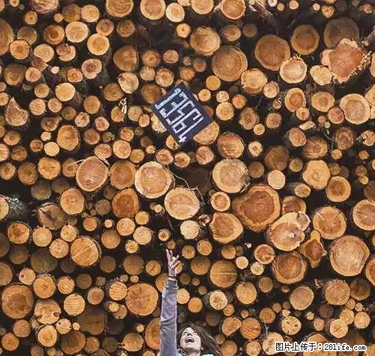 辞掉工作周游世界？现在他们在洗厕所…… - 游山玩水 - 眉山生活社区 - 眉山28生活网 ms.28life.net