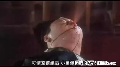 笑癫了！一女的怀孕三年未生，他终于忍不住了... - 娱乐八卦 - 眉山生活社区 - 眉山28生活网 ms.28life.net
