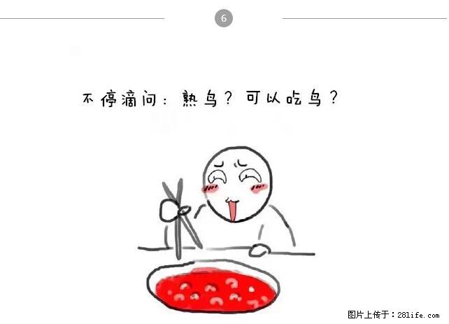 千万不要和这9种哈卵一起吃火锅！ - 美食天地 - 眉山生活社区 - 眉山28生活网 ms.28life.net