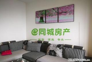 盖丽广场旁 凯旋天域 精装套2 空调两台 家具家电全齐 - 眉山28生活网 ms.28life.net