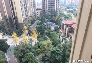 九巷十坊旁两室三厅双卫可变三房两台空调 主卧观中庭 拎包入住 - 眉山28生活网 ms.28life.net