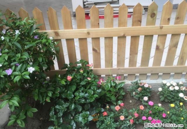 金鑫街农行家属区，地段好，13000一年，价格可刀，实地看房 - 房屋出租 - 房屋租售 - 眉山分类信息 - 眉山28生活网 ms.28life.net