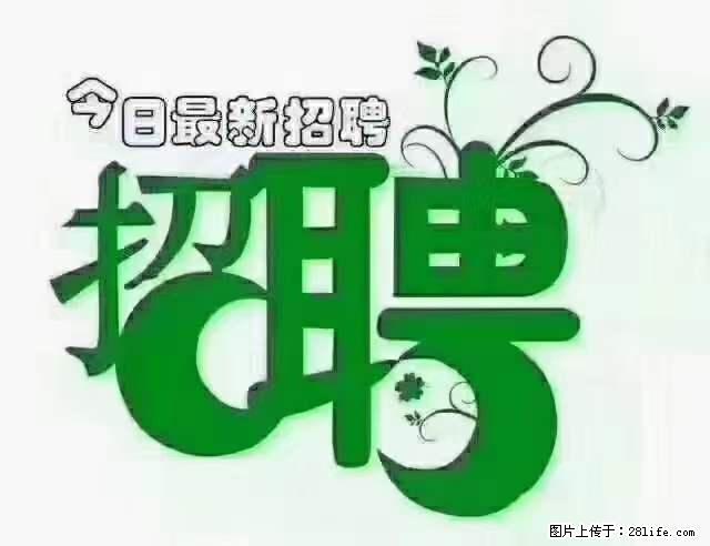 【招聘摄像师】待遇：试用期6000元/月，转正7000元/月+五险一金+餐补+节日福利+奖金 - 职场交流 - 眉山生活社区 - 眉山28生活网 ms.28life.net