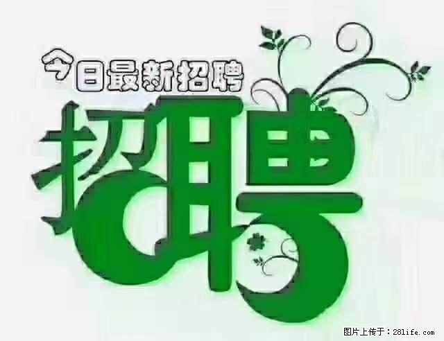 上海隔离酒店招人：55岁以下 男女不限 - 职场交流 - 眉山生活社区 - 眉山28生活网 ms.28life.net