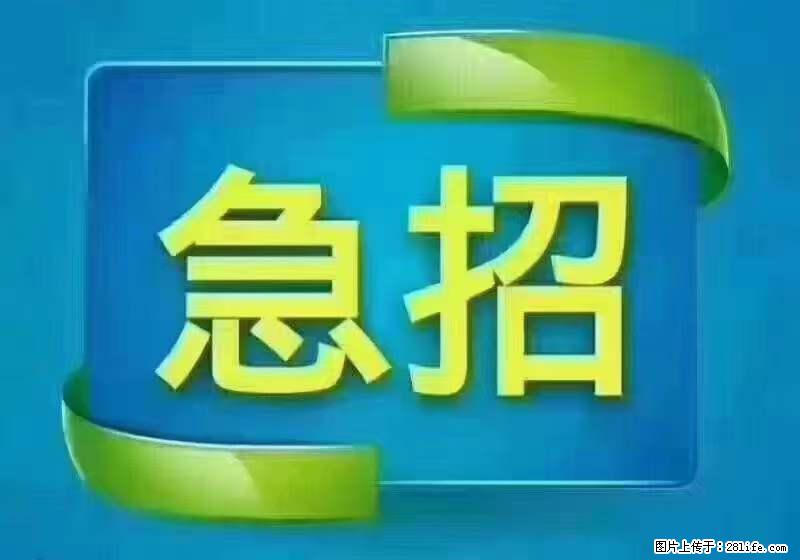 招出纳8000元/月，无证可以，要有相关经验，上海五险一金，包住，包工作餐，做六休一。 - 职场交流 - 眉山生活社区 - 眉山28生活网 ms.28life.net