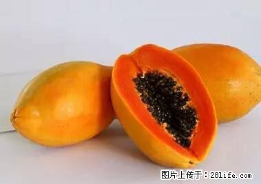 晕车、脚气、牙齿变黄、皮肤粗糙？学会这些三分钟搞定！ - 眉山生活资讯 - 眉山28生活网 ms.28life.net