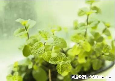 晕车、脚气、牙齿变黄、皮肤粗糙？学会这些三分钟搞定！ - 眉山生活资讯 - 眉山28生活网 ms.28life.net