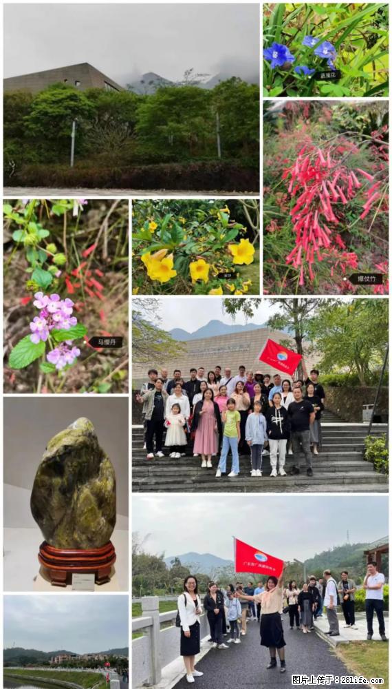 “粤灌文化 美好生活”油茶文化主题活动在广东深圳成功举办 - 眉山生活资讯 - 眉山28生活网 ms.28life.net