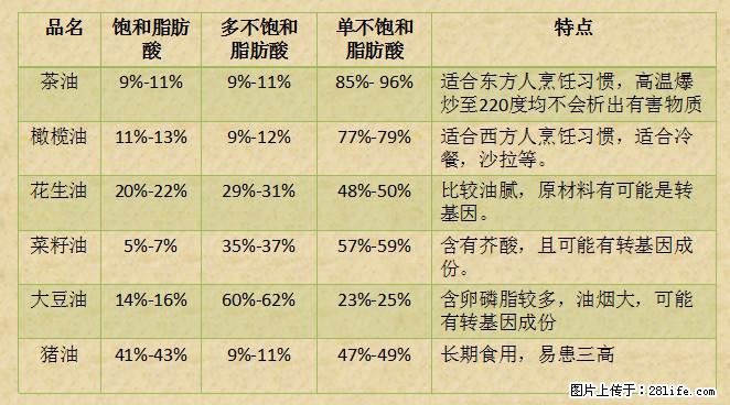 揭秘茶油的5大核心营养成分！被称为人体健康的“守护盾”！ - 眉山生活资讯 - 眉山28生活网 ms.28life.net