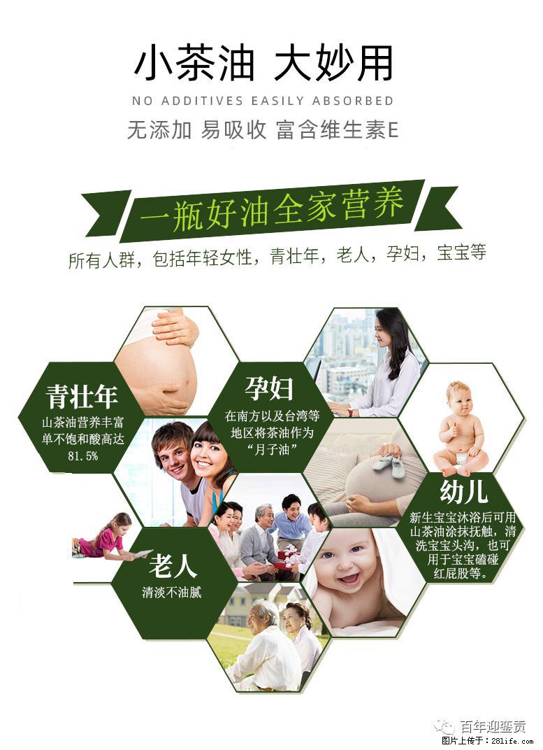 世界没有真相，只有认知，最好的食用油是中国的山茶油！ - 眉山生活资讯 - 眉山28生活网 ms.28life.net