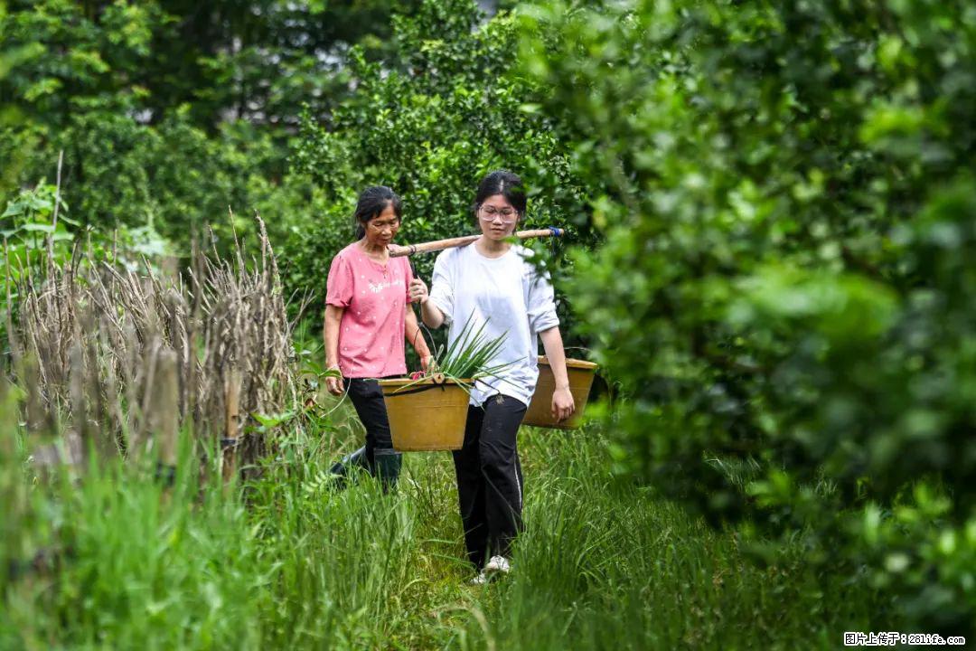 全网追的“扁担女孩”，找了一份暑假工，时薪12元 - 眉山生活资讯 - 眉山28生活网 ms.28life.net
