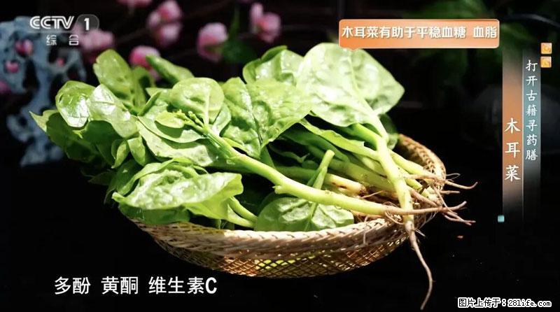 比牛奶补钙还厉害！凉血解毒、稳血糖...这菜冬天必吃，很多人却当草 - 眉山生活资讯 - 眉山28生活网 ms.28life.net